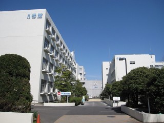 五十周年記念同窓会のイメージ